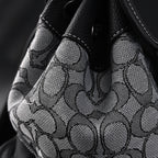 coach-ch-sprint-backpack-signature-canvas-leather ohter